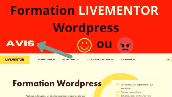 Avis Formation Livementor WordPress 2025