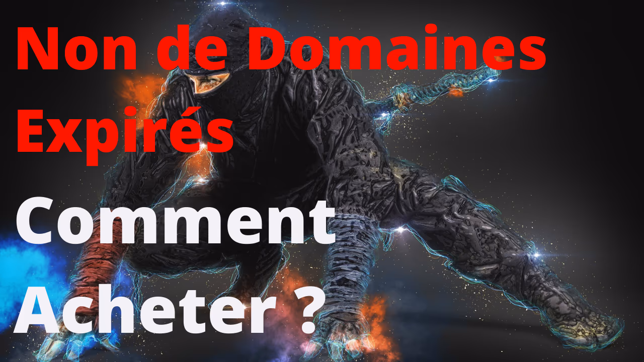 Acheter un Nom de Domaine Expiré