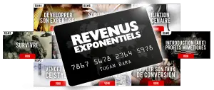 Avis Tugan Bara - RX revenus exponentiels (+1000% ?) 16