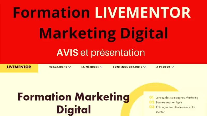 Avis formation Livementor Digital Marketing 15