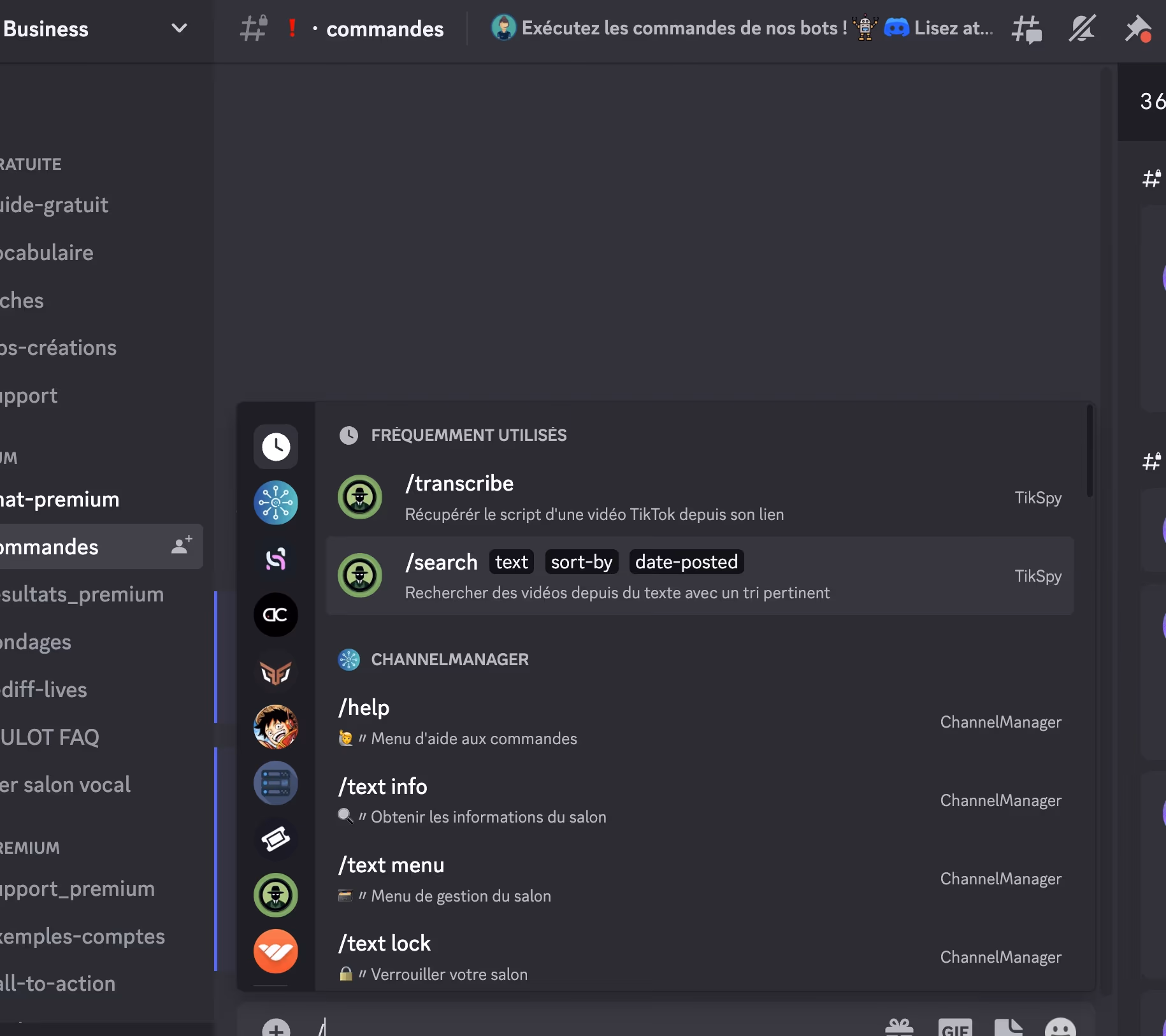 Avis TakTik Business Premium Bot TikTok